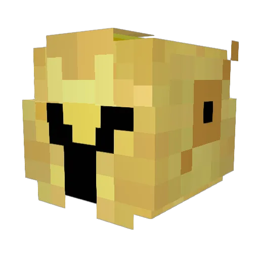 7Lawrence Minecraft avatar head, 3D render