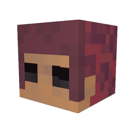 7NEL Minecraft avatar head, 3D render