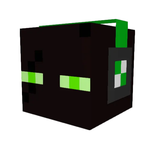 7R1NAM Minecraft avatar head, 3D render