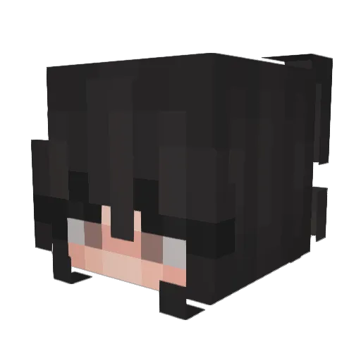 7ShadowNinja Minecraft avatar head, 3D render