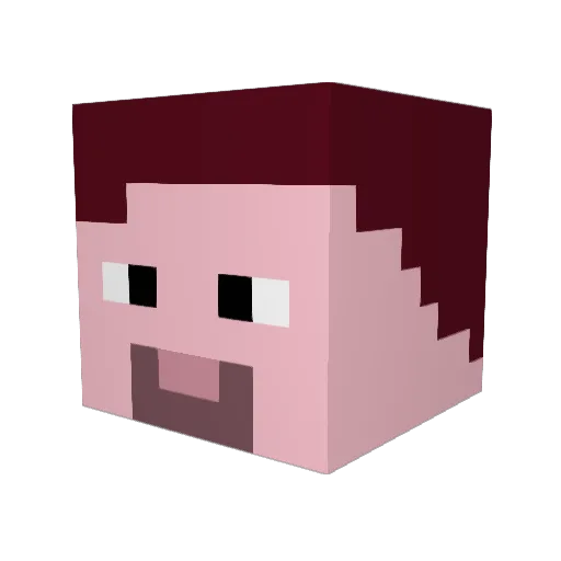 7n Minecraft avatar head, 3D render