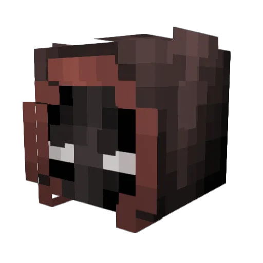 7oaster Minecraft avatar head, 3D render