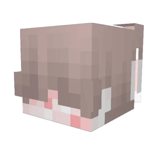 7ox_ Minecraft avatar head, 3D render