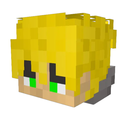 7pkt_ Minecraft avatar head, 3D render