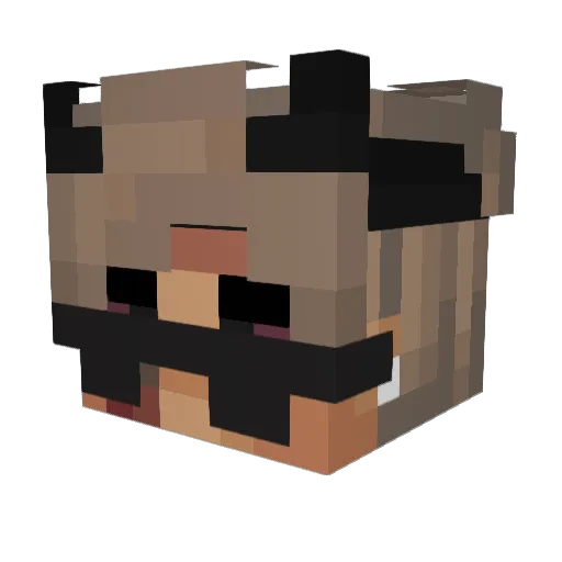 7rG_gg Minecraft avatar head, 3D render