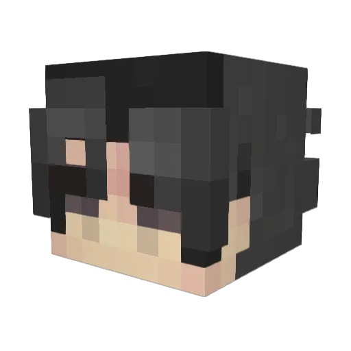 7r_ Minecraft avatar head, 3D render