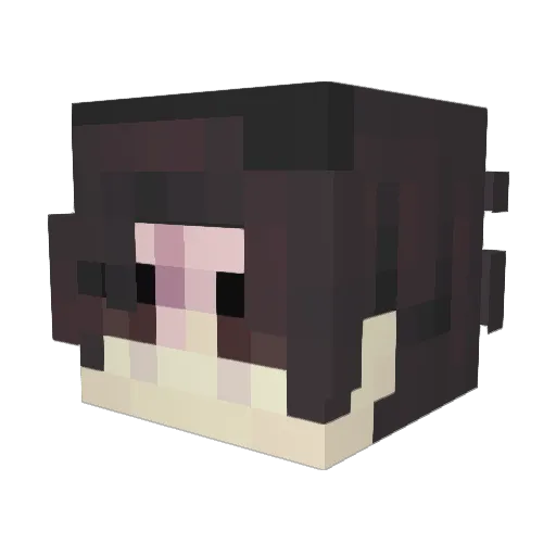 7re2a Minecraft avatar head, 3D render