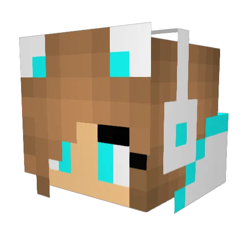 7tictac7 Minecraft avatar head, 3D render