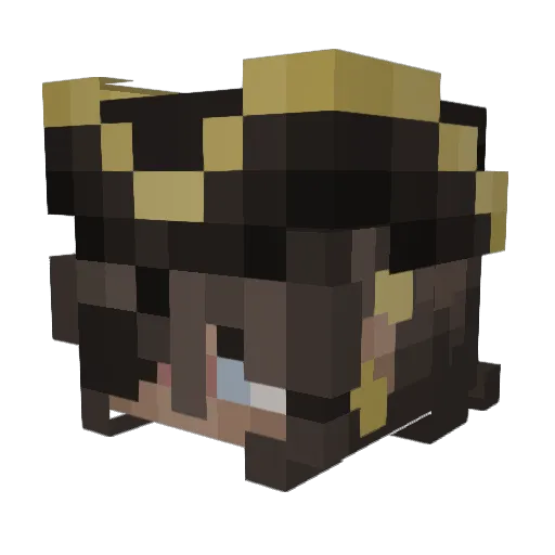 7ty0 Minecraft avatar head, 3D render