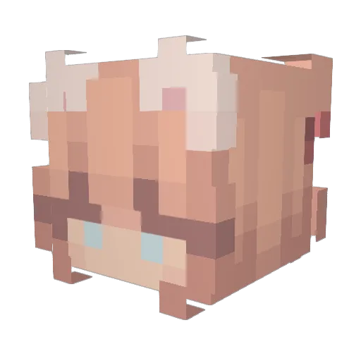 7wa4aj Minecraft avatar head, 3D render