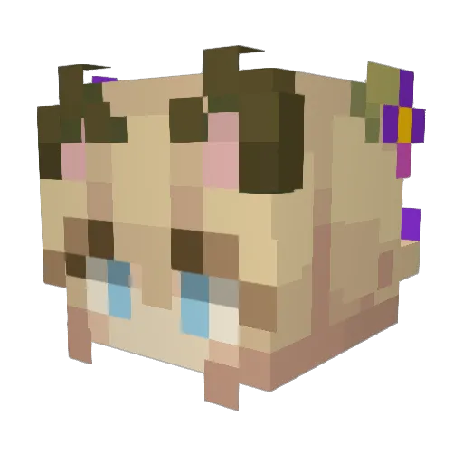 7xds Minecraft avatar head, 3D render
