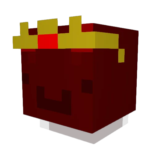 800mg_anavar Minecraft avatar head, 3D render