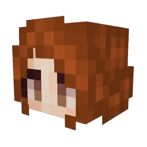 80Danger Minecraft avatar head, 3D render