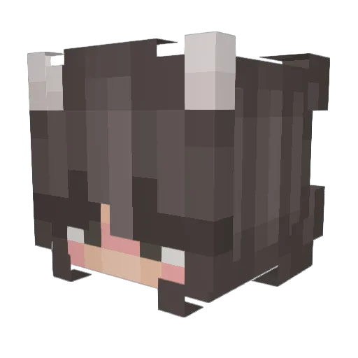 80flames Minecraft avatar head, 3D render
