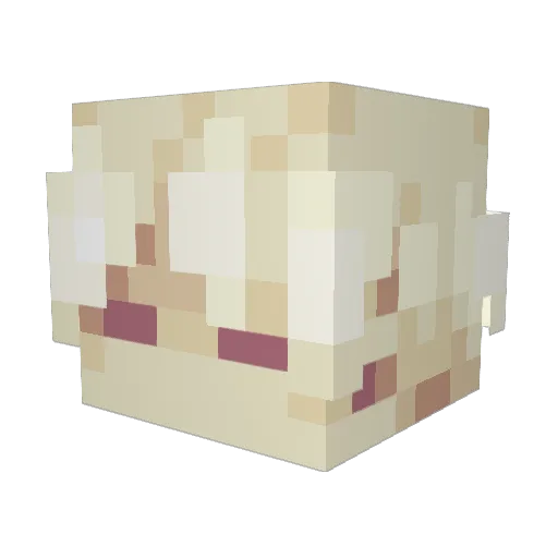81Acia81 Minecraft avatar head, 3D render