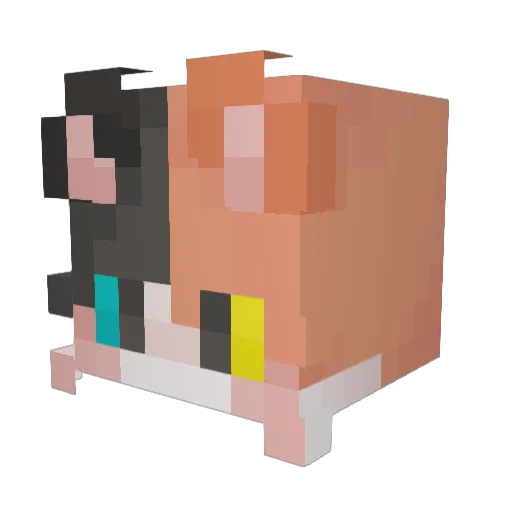 82_nari Minecraft avatar head, 3D render