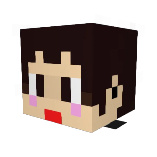 83ky Minecraft avatar head, 3D render