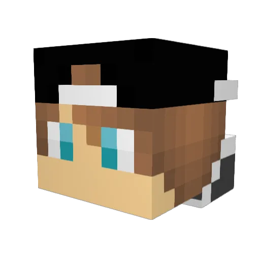851 Minecraft avatar head, 3D render