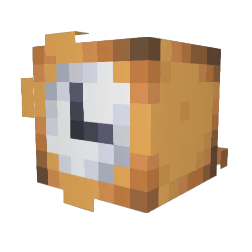 87CoolGuy87 Minecraft avatar head, 3D render