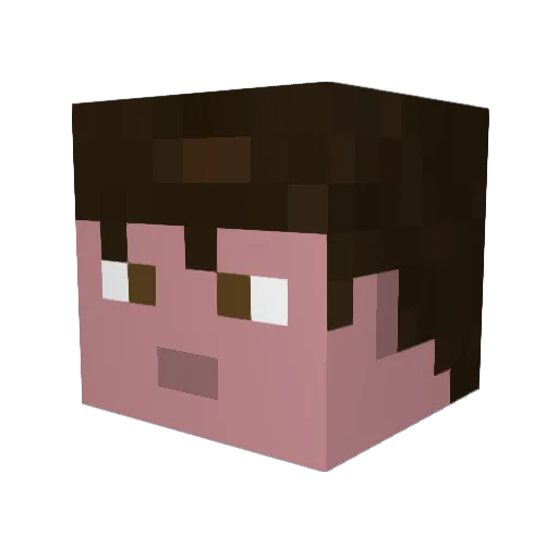 8826N Minecraft avatar head, 3D render
