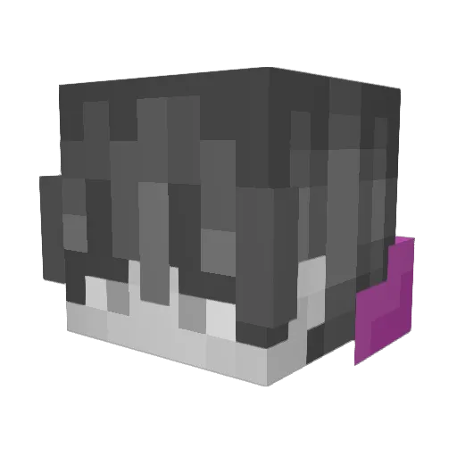 88IK Minecraft avatar head, 3D render