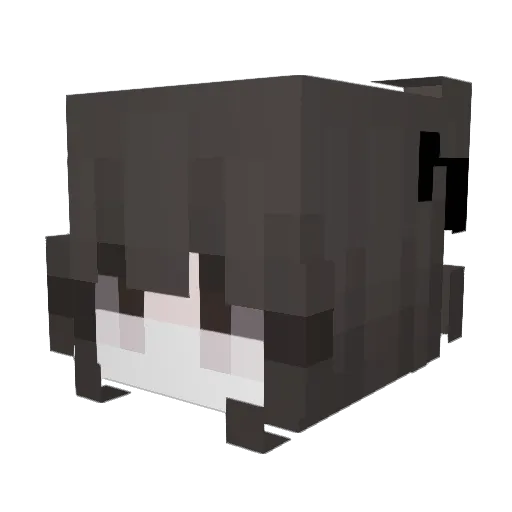 89xn_ Minecraft avatar head, 3D render