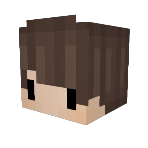 8A9 Minecraft avatar head, 3D render