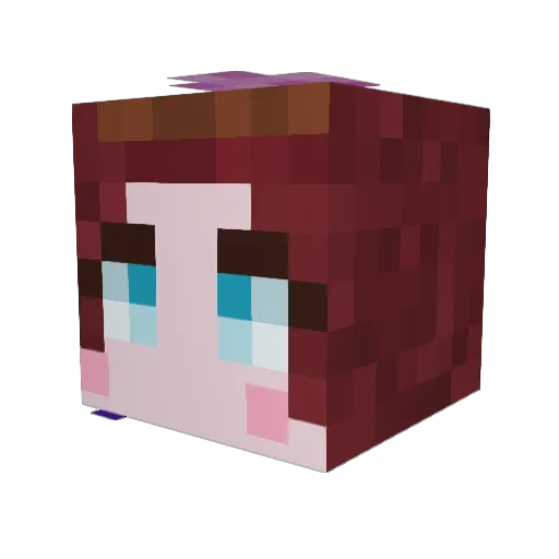 8BitSaturniid Minecraft avatar head, 3D render