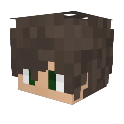 8Bit_Heroes Minecraft avatar head, 3D render