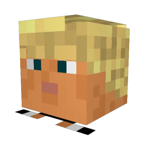 8Colton8 Minecraft avatar head, 3D render