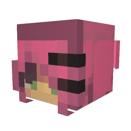 8Ezra8 Minecraft avatar head, 3D render