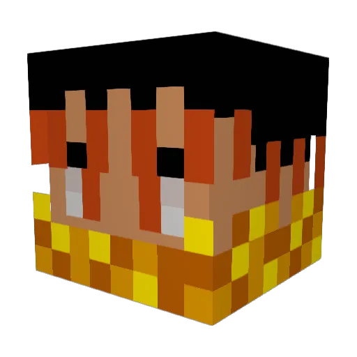 8Flinzorz8 Minecraft avatar head, 3D render