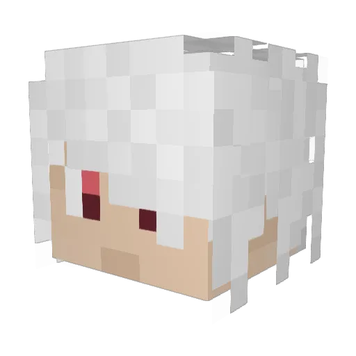 8NQ Minecraft avatar head, 3D render