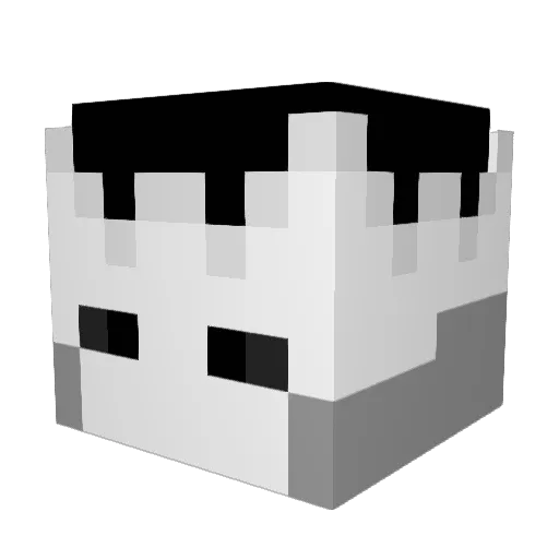 8Oblivion8 Minecraft avatar head, 3D render