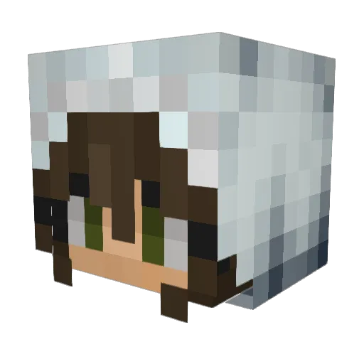 8Rose_Fields8 Minecraft avatar head, 3D render