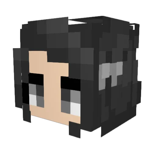 8XxM1lfSlayerxX8 Minecraft avatar head, 3D render