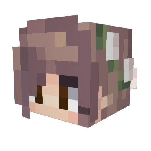 8_8q Minecraft avatar head, 3D render