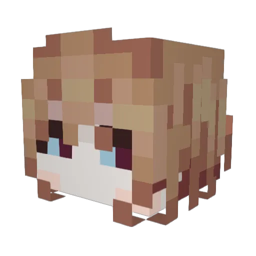 8_goob Minecraft avatar head, 3D render