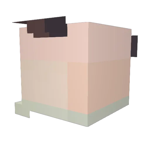 8b2ca111504dde50 Minecraft avatar head, 3D render