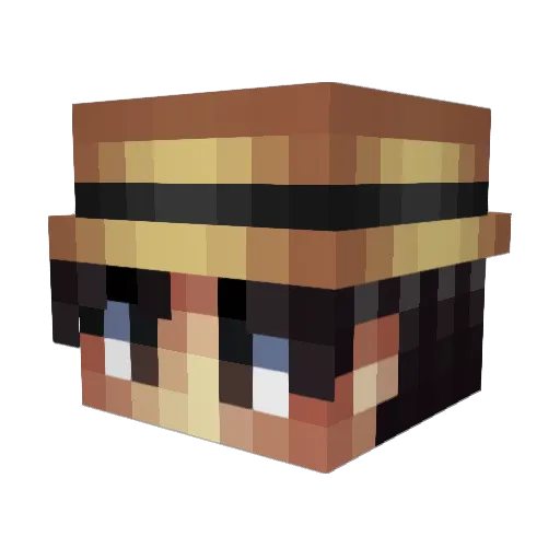 8bCoins Minecraft avatar head, 3D render