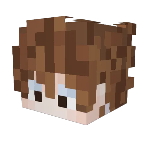 8eNuJa Minecraft avatar head, 3D render