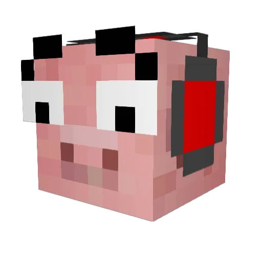 8nils8 Minecraft avatar head, 3D render