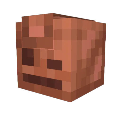 8ocian Minecraft avatar head, 3D render