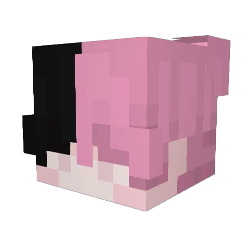 8ppa Minecraft avatar head, 3D render