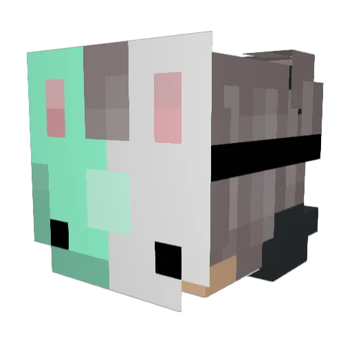 8sk4bmr Minecraft avatar head, 3D render
