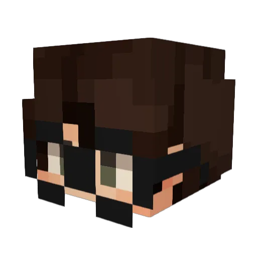 8stroboy Minecraft avatar head, 3D render