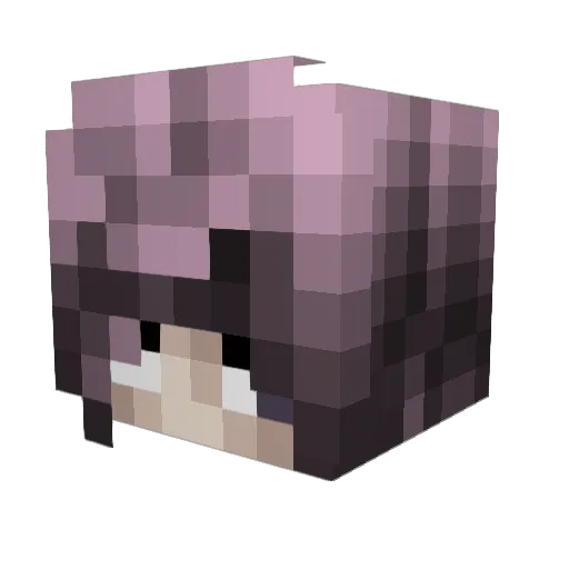 8teeh Minecraft avatar head, 3D render