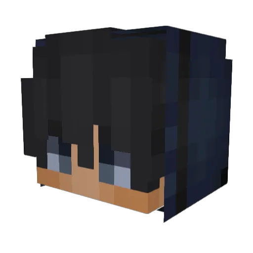 8vf Minecraft avatar head, 3D render