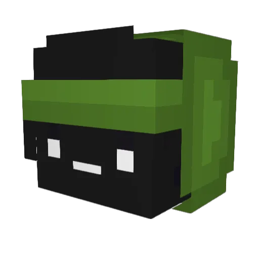 8wds Minecraft avatar head, 3D render