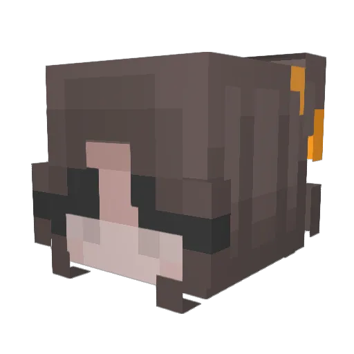 8xle Minecraft avatar head, 3D render